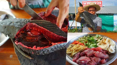 ให้ทายอร่อยไหม! ลุงเด่นปรุงเมนู ผัดฉ่าปลาซัคเกอร์ คนดูต้องกลืนน้ำลาย (คลิป)