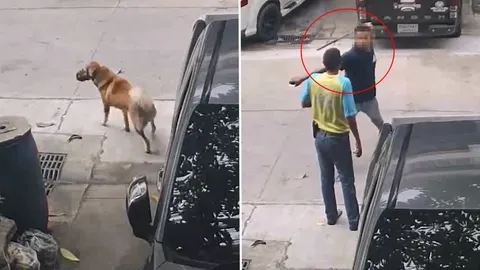 อึเป็นเหตุ! เพื่อนบ้านคว้าแป๊บตีหมา เจ้าของฉุน แค่ครั้งแรกทำไมไม่บอกดีๆ