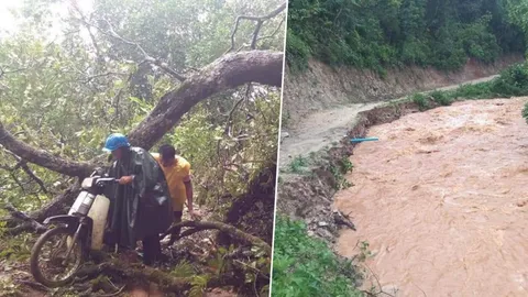 เสียงสะท้อนจาก 'ครูดอย' เสี่ยงตายขึ้นเขาไปสอนเด็ก วอนภาครัฐดูแลจริงจัง