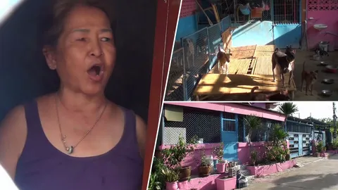 โวยบ้านป้าเลี้ยงสุนัขจรจัดกว่า 20 ตัว กลิ่น-เสียงรบกวนนาน 20 ปี