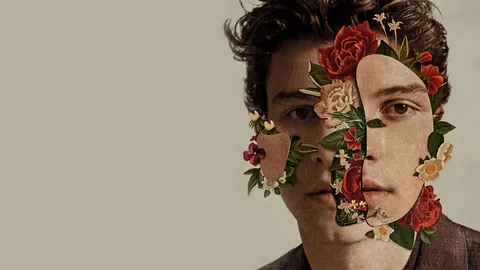 ชอว์น เมนเดส ประหม่าหน้านิ่ง