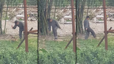 ร้องเจ็บปวดเสียงหลง! ชายใจคอโหดร้าย ใช้ไม้ตีหมาไม่ยั้งแถมกระทืบซ้ำ (คลิป)