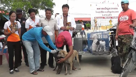 ประกาศ! ตลาดเบญจวรรณติดโรงเกลือ เป็นเขตโรคพิษสุนัขบ้าระบาด