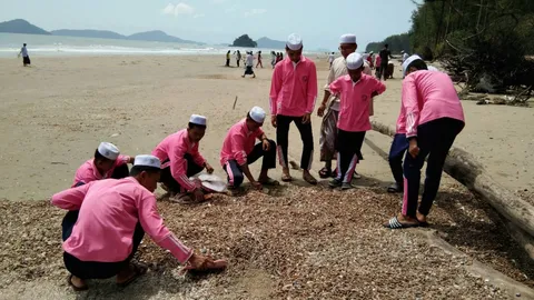 นักวิชาการปัดหอยเจดีย์เกยหาดระนอง ไม่เกี่ยวเกิดสึนามิใดๆ ทั้งสิ้น