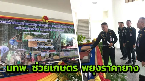 นทพ. สนองนโยบายรัฐ ช่วยแก้ราคายางตกต่ำ นำก่อสร้างผิวจราจร