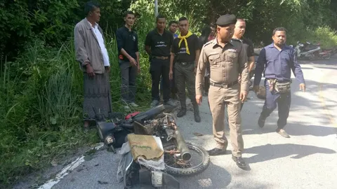 หนุ่มยะลาดวงแตก เจอช้างป่าขึ้นจากเขื่อนบางลาง ทำร้ายจนตายคาที่