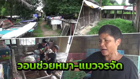 สาวใหญ่เปิดบ้านเลี้ยงหมา-แมวจรจัด แบกภาระไม่ไหว วอนผู้ใจบุญช่วยเหลือ