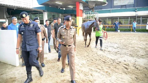 ปราบโต๊ดเถื่อน