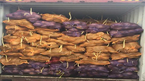 ยึดมะพร้าวจากอินโดนีเซีย แหกกฎหมายลักลอบส่งไทย