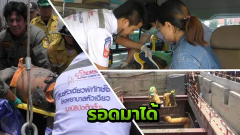 ระทึก! นาทีช่วยชีวิตคนงานในบ่อโคลนก่อสร้าง BRT หลังถูกดูดร่างหวิดจม