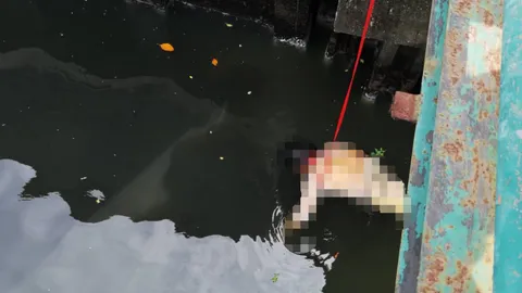 พบศพชายนิรนาม ครึ่งตัวลอยคลองเเสนเเสบ หลังห้างดังย่านบางกะปิ