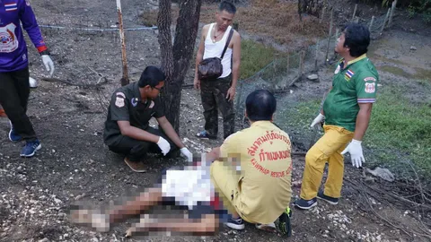 สงสัยรถชนอะไร พ่อค้าสับปะรด วกกลับมาดู เจอร่างชายนิรนาม!