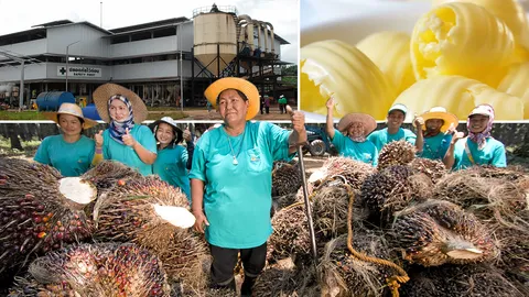 สธ.สั่งแบนไขมันทรานส์ สศก.ชี้ไม่กระทบเกษตรกร