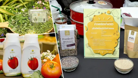 โครงการหลวง 49 น้ำพระทัย จากฟ้าสู่ดิน