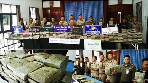 จับกัญชา 350 กก.คาริมโขง หลังแก๊งค้ายานำมาพักรอปล่อยของหน้าฝน