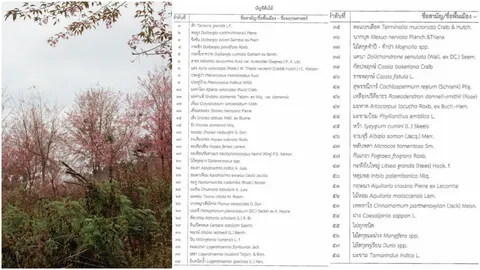 รู้หรือไม่? ต้นไม้มีค่า 58 ชนิด ใช้ค้ำประกันกู้เงินได้
