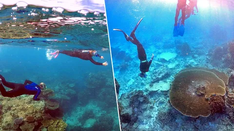 วิจัยแนวปะการังน้ำลึกกำลังถูกคุกคาม