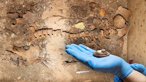 พบสุสานสตรีสูงศักดิ์อายุ 1,800 ปีในกรีซ