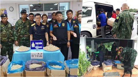 ศุลกากรแม่สอด จับแก๊งขนไม้ทำรังนกปลอม นำเข้าเลี่ยงภาษีจากพม่า