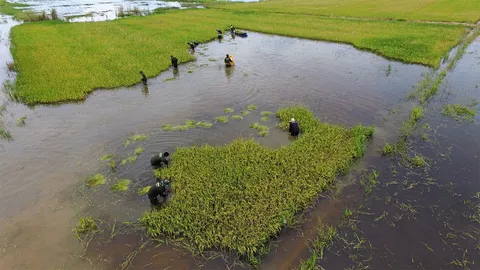 เปิดประกันภัยสารพัดพืชผล