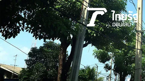 ชาวบ้านร้องเรียน เสาไฟเอียงและมีต้นไม้ปกคลุม ช่วงหน้าฝน เกรงว่าจะไม่ปลอดภัย 