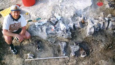 แบรคิโอซอรัสอาจเป็น ไดโนเสาร์เท้าใหญ่ที่สุด