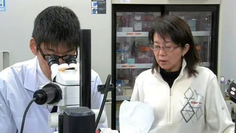 วิจัยเซลล์ต้นกำเนิดรักษาโรคพาร์กินสัน