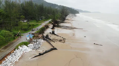 ระนองทะเลคลื่นแรง ซัดต้นสนริมหาดประพาสล้ม ดึงเสาไฟฟ้าหักอีก 3 ต้น