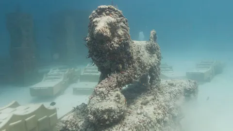 กำลังเติบโตเพิ่มขึ้น