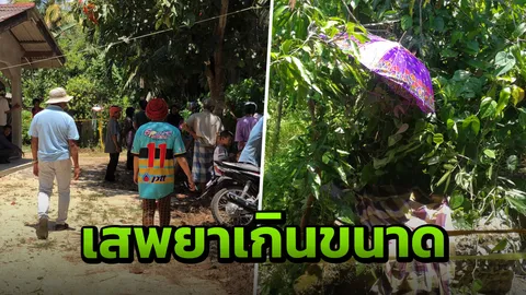 หนุ่มติดยาโหด! สุดหลอน ถือมีดจ้วงแทงกลางอก หนุ่มใหญ่ วัย 58 ดับอนาถ 