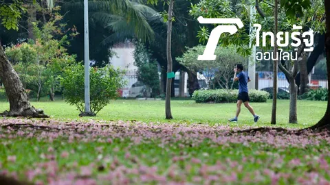 เจเจกรีนเป็นอุทยานสวนจตุจักร 2