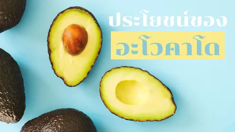 ประโยชน์ของ 'อะโวคาโด้' ไขมันพืชแสนดีเพื่อคุณผู้หญิง 