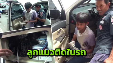แม่ค้าสาวร้องกู้ภัย ช่วยหา 2 ลูกแมวข้างถนน หนีซุกในรถฟอร์จูนเนอร์
