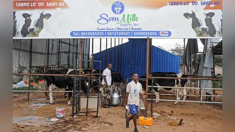 ธุรกิจนมในดงปืน