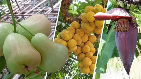 เสียฟอร์ม