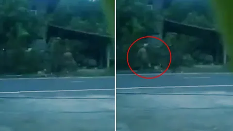 สุนัขร้องโหยหวน ถูกเจ้าของตีไม่ยั้ง เจ็บเจียนตายแต่ไม่หนี (คลิป)