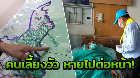 กินหัวปลีประทังชีวิต! ลุงหลงป่าเล่าประสบการณ์หลอน เจอดีคนเลี้ยงวัว