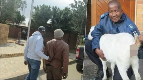 ชายแอฟริกาใต้ วิตถารหนัก ข่มขืนแพะตั้งท้อง สุดท้ายโดนตร.รวบ