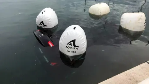 ชายหญิงผู้ดีเกือบตาย คนขับ ‘อูเบอร์’ ซิ่งรถลงทะเล แถมโดนเก็บเงินอีก