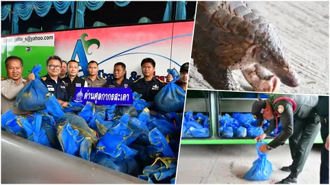 กลิ่นมันโชย! ด่านสะเดาจับคนขับบัสมาเลย์ ลอบขนตัวนิ่มมูลค่า 20 ล้านบาท