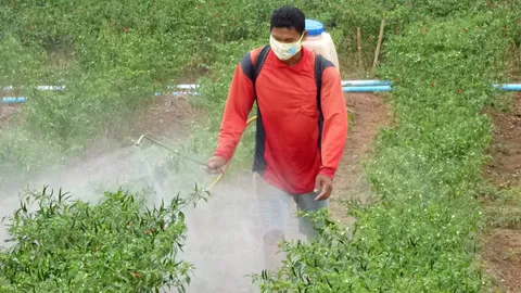 จริง/เท็จ...ดินไทยอาบสารพิษ?