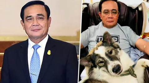 ตัวโปรด 