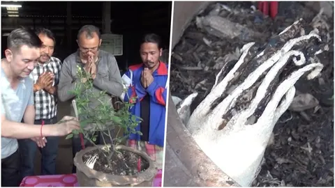 เซียนหวย แห่ตีเลขเด็ด เห็ดประหลาด หายากติดอันดับโลก ผุดในกระถางกุหลาบ