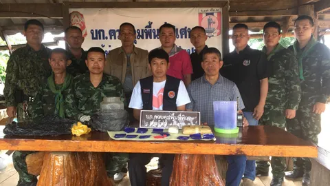 ทหารลาดตะเวน ขุดพบยาบ้า ฝังดินในป่า 1 หมื่นเม็ด คาดรอกระจาย!