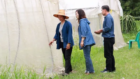 จากสาวโรงงาน...สู่นักธุรกิจ “ผักอินทรีย์”