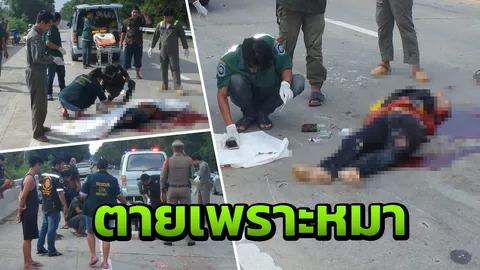 หนุ่มซิ่งจยย.ถูกหมาตัดหน้าล้ม สิบล้อวิ่งตามมาทับหัวดับคาที่