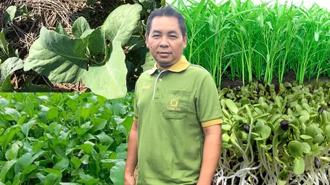 เวลาจวนเจียน..ชวนปลูกผัก รับทรัพย์เทศกาลกินเจ