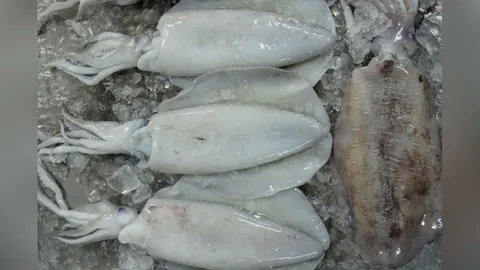 แฉกลโกงแม่ค้า! แอบเปลี่ยนหมึกใกล้เน่าแทนของสด ตีมึนโบ้ยลูกค้าหยิบเอง