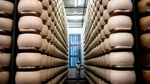 บทบาทของชีสบ่งชี้ถึงวิวัฒนาการของมนุษย์