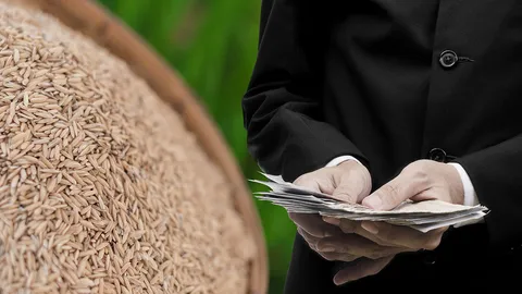 ชาวนาเขมรใช้บล็อกเชนขายข้าว